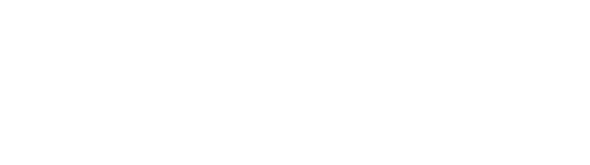Lapicero Consulting
